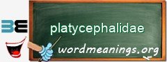 WordMeaning blackboard for platycephalidae